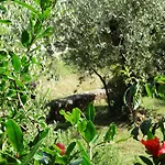 Sopta * Porec