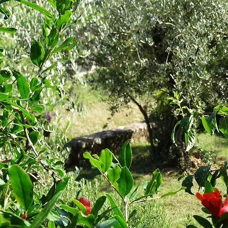 Sopta * Porec